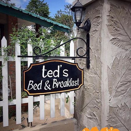 Ted'S Bed And Breakfast Santa Cruz  Exterior photo